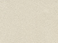 Замша Светло-коричневый 2868 