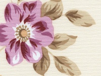 Китайская роза Черный 1908 