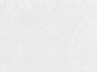 Альбион Белый 0225