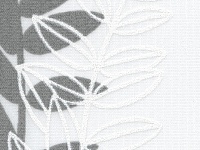 Акация Белый 1606