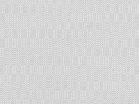 Альфа Серый 1852 